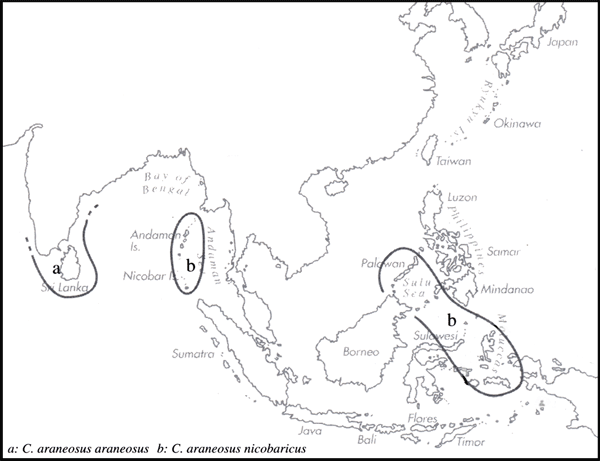 Range Map Image