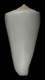 Click to see a larger version of this image (Conus albus  Sowerby iii, 1887 Primary Type Image)