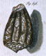 Click to see a larger version of this image