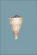 Click to see a larger version of this image