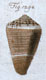 Click to see a larger version of this image