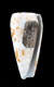 Click to see a larger version of this image (Conus boivini  Kiener, 1846 Primary Type Image)