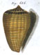 Click to see a larger version of this image