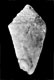 Click to see a larger version of this image