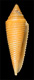 Click to see a larger version of this image