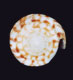 Click to see a larger version of this image (Conus centurio cruzensis  Nowell-Usticke, 1968 Primary Type Image)