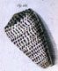Click to see a larger version of this image