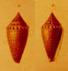 Click to see a larger version of this image