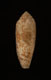 Click to see a larger version of this image