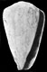 Click to see a larger version of this image