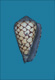 Click to see a larger version of this image (Conus pseudomarmoreus  Crosse, 1875 Primary Type Image)