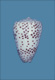 Click to see a larger version of this image