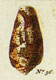 Click to see a larger version of this image