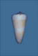 Click to see a larger version of this image