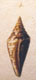 Click to see a larger version of this image