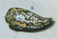 Click to see a larger version of this image