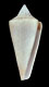 Click to see a larger version of this image