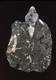 Click to see a larger version of this image
