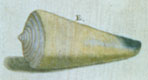 Click to see a larger version of this image